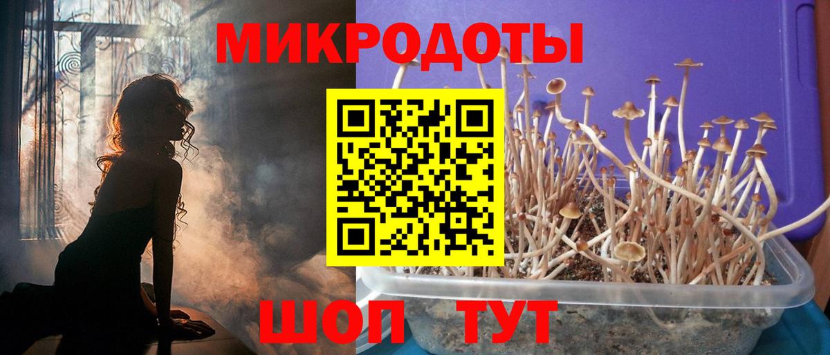 Галлюциногенные грибы MAGIC MUSHROOMS  Вход с VPN  Псилоцибиновые грибы MAGIC MUSHROOMS  Звенигород 